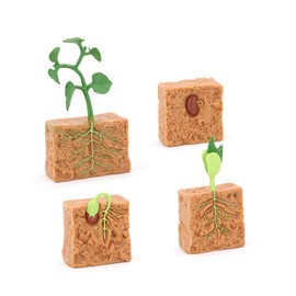 Perfeclan Life Cycle Figurines Toy Montessori Butterfly and Bean Plants Realistic Lifecycle Collection for Boys and Girls Party Favors