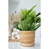 KORAD Flower Pot with Stand - Pattern 047 Bamboo -