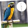 Toddmomy Bebedero De Plástico para Loros Comedero Automático Diseño Resistente
