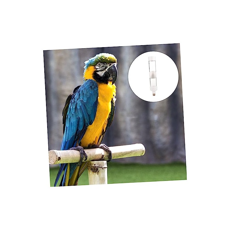 Toddmomy Bebedero De Plástico para Loros Comedero Automático Diseño Resistente