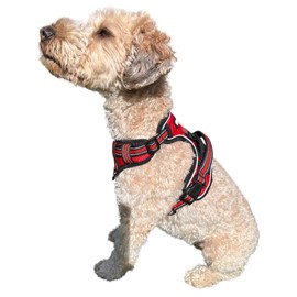 ROOSK Dog Harness | No-Pull, Reflective, 4-Way Adjustable w/Poop Bag Holder | Ultimate Comfort, Soft, Padded Waterproof Oxford w/Airmesh | 2 Leash Clips (Red, Small)