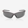 Riley Steer Safety Glasses with Bronze Frame UV and Fog
