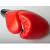 Paffen Sport KIBO Fight Genuine Leather Boxing and Martial Arts