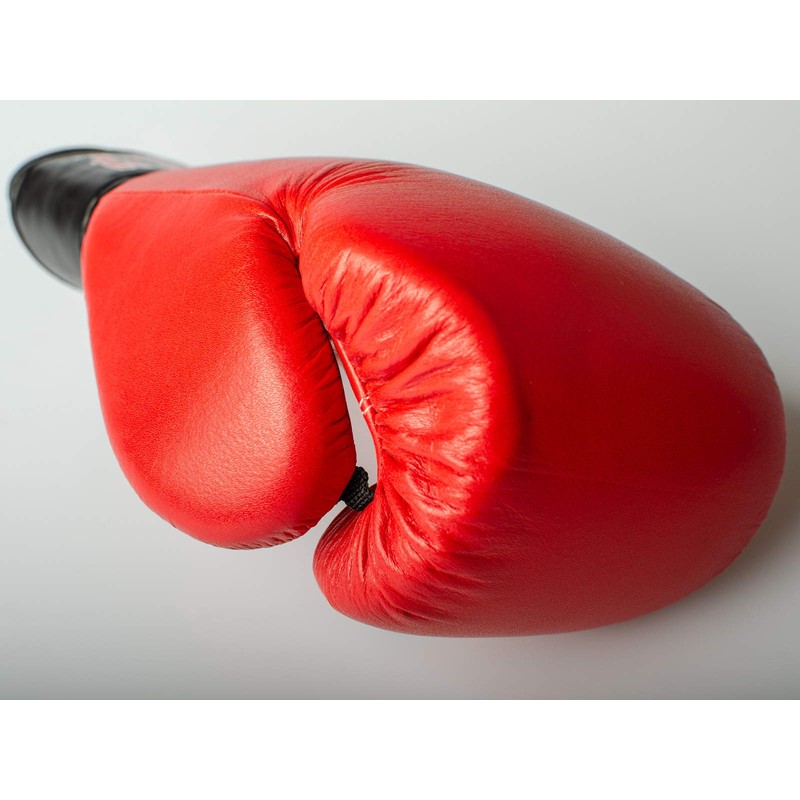 Paffen Sport KIBO Fight Genuine Leather Boxing and Martial Arts