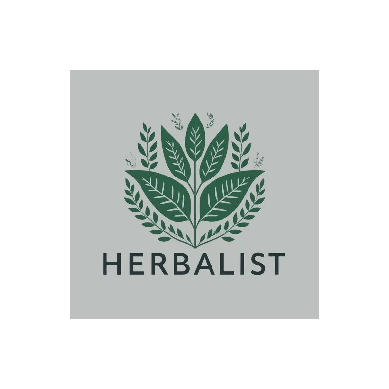 Pure Organic Arrowroot Root Powder (Maranta arundinacea) Pure Herb Herbal