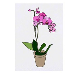 Azeeda 'Eingemachte Orchidee' Temporäres Tattoo - Hautfreundlicher & Ungiftiger Abziehbild · Wasserfest (TO00033280)