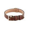 Brute Strength Leather Dog Collar Brown M 36-43 cm