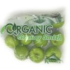 Organic Apple Granny Smith, 48 Ounce