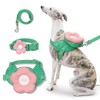 VETRESKA Betresca Flora Harness Lead Backpack Set (L)Dog Harness for