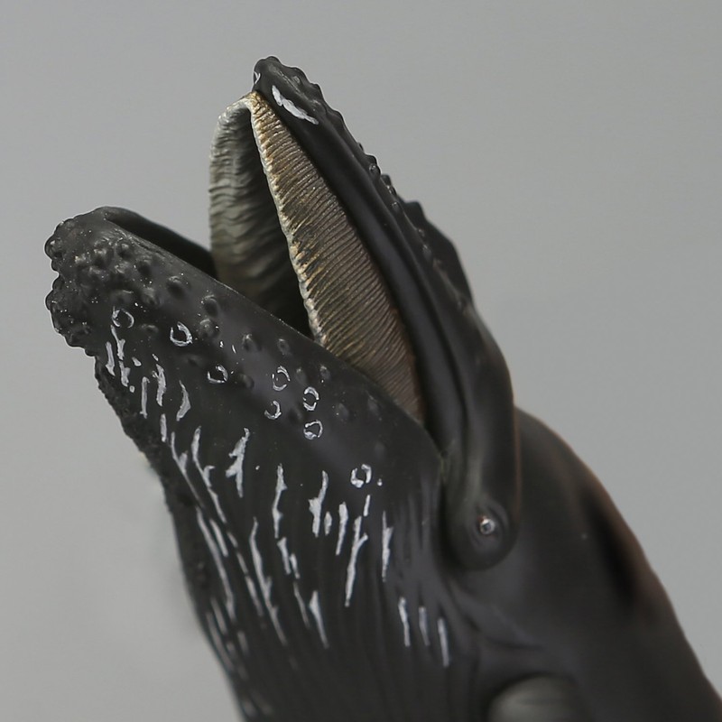 Soft Vinyl Toy Box 013 Whale, Humpback Whale, Non-scale, Soft