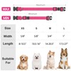 PenSeepet Reflective Dog Collar Padded with Soft Neoprene Breathable Quick