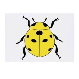 'Yellow Ladybug' Temporary Tattoo - Water Resistant, Skin-Safe, Non-Toxic Transfer (TO00079269)