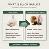 HERBSTONE Black Garlic Capsules 1500mg High Strength | 120 Odourless