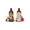Shampoo Acelerador Crecimiento Cabello Romero Jengibre Canel