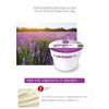 3EA Lindsay Modeling Mask Cup Pack #Lavender