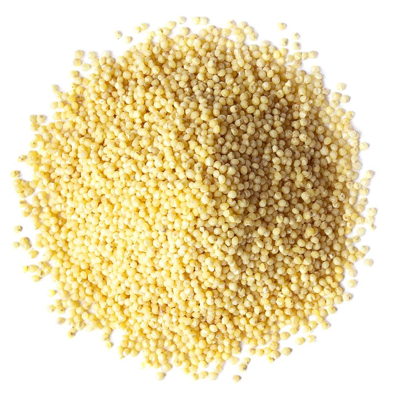 Food to Live Hulled Millet, 9 Pounds – Whole Grain
