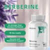 Olidon New Berberine Supplements 1000mg Per Bottle - 30 Servings