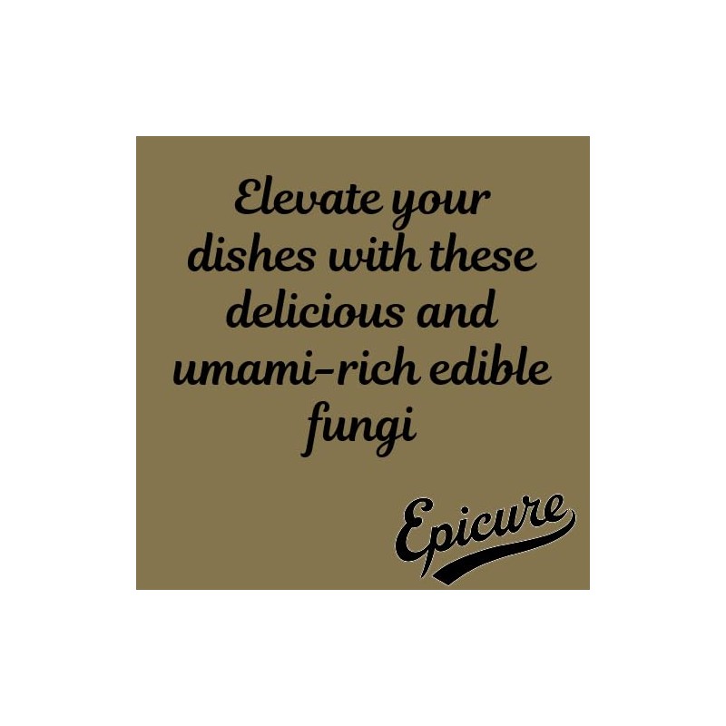 Epicure Mixed Mushrooms, 25 g (Pack of 6)