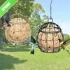8 Pcs Suet Bird Feeders for Outside Hanging, Metal Wild