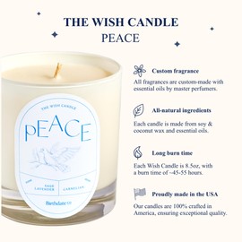 Wish Candle Peace by Birthdate Co. | Scented Candle w/Stone Crystal | All-Natural Soy & Coconut Wax Blend | Birthday Gift for Women & Men, Long Burn Time of 45-55 Hours, Made in USA | 8.5 oz