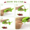 Cherry Pitter Stainless Steel Cherry, Cherry Stone for Quick Removal,