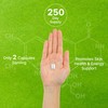 Vitamin B3 Nicotinamide 1,000mg Per Serving – 500 Capsules, Flush