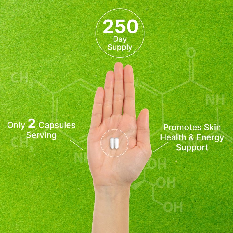 Vitamin B3 Nicotinamide 1,000mg Per Serving – 500 Capsules, Flush