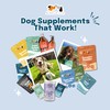 Buddy & Lola Berry Bladder | Advanced Bladder & Kidney