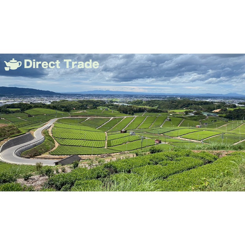 Yamecha Yame Shiraore Green Tea Leaves