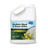 BioSafe Systems 7601-1 Weed and Grass Killer, (Case – 2),