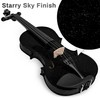 Poseidon Violin 4/4 Full Size Set, Black Violin for Beginners