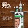 Just For Men Shampoo para Canas, Formula Original, Castaño Claro
