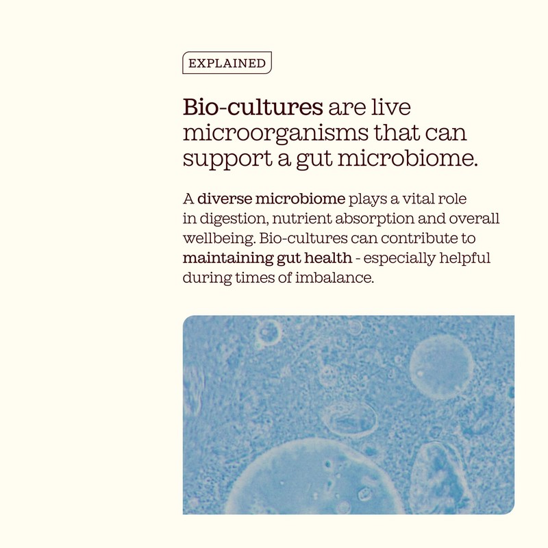 Free Soul 50 Billion CFU Pro Bio Cultures Complex with