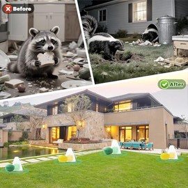 24 Pack Natural Peppermint Oil Raccoon Repellent Outdoor, Skunk Repellent with 24 Mesh Bags for Yard Attic Garden House Shed Indoor Outdoor, Pet and Human Safe, Ready to Use