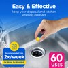 Compac Home Plink Garbage Disposal Cleaner and Deodorizer 60ct VALUE