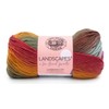 Lion Brand Yarn - Landscapes - 6 Pack with Needle