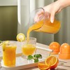 GLADICER Citrus Juicer, 3-in-1 Juicer Manual, Lemon Squeezer, 600ML（20 Ounce）Capacity