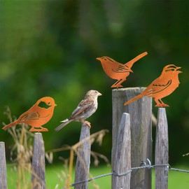 JYUECIAN Birds Garden Stake Rust Decorative Garden Decoration for Outdoors, Patina Metal Birds Rust Stake Tree Stake - Titit, Wren, House Sparrow