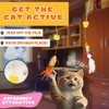 Cat Toys for Indoor Cats Set 5 pcs, Attractive Cat
