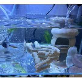 Lighibeuty Crushed Coral Filter for Aquarium,Fish Tank Crushed Coral for Freshwater Aquarium Ph Aquarium Bio Filter Media Bag Reusable Aquarium Filter