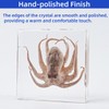Real Octopus Specimen in Clear Resin Block – 3" x