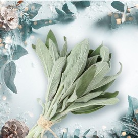 NorthWood Distributing Holiday Sage - Premium Fragrance Oil for Soap, Diffuser, Candle Fragrance Oil, Lotion, Body Scrub, Body Butter, Aromatherapy - 4 Fl Oz