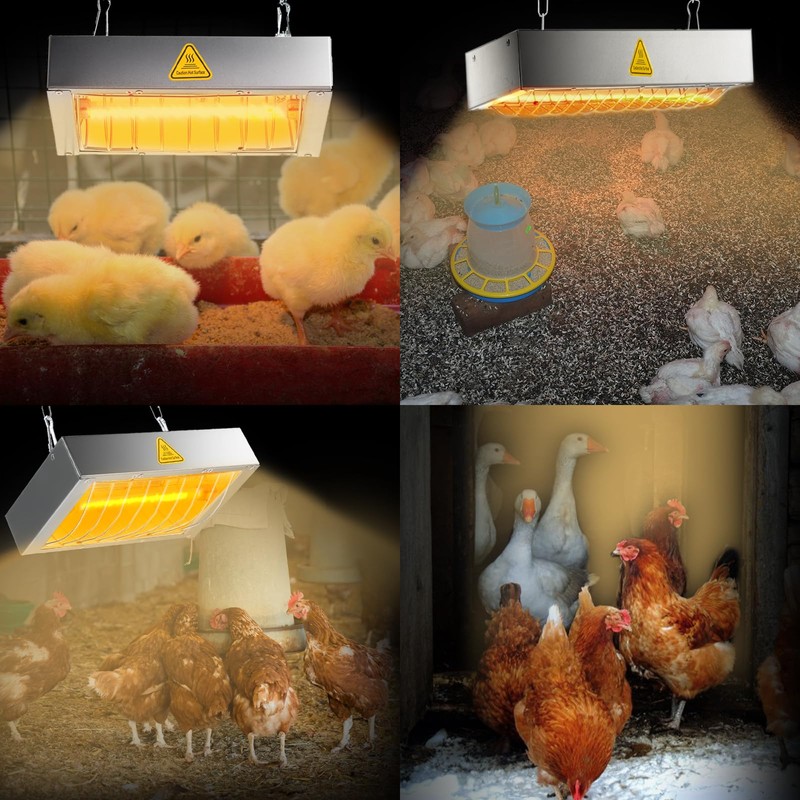 Chicken Coop Heater for Winter, Heat Lamp for Chickens 400W,