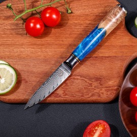 Paring Knife - Fukep 3.5 Inch Damascus Paring Knife Small Fruit Knife Ultra Sharp Damascus VG10 Core Steel with 66 Layers High Carbon Steel Classical Pattern Blue Handle