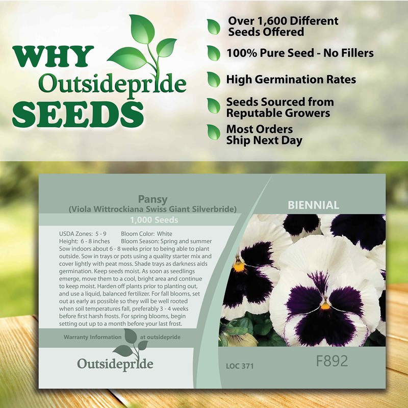 Outsidepride 1000 Seeds Viola Pansy Silverbride Flower Seeds for Planting