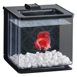 Gex Aquarium Easy Aqua, Black, Easy to Change Water, Compact Aquarium Plant Breeding (W x D x H): 6.3 x 6.7 x 6.3 inches (16 x 17 x 16 cm), Approx. 0.7 gal (2.1 L)