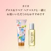 Hair Dolce Pro Shot Custom Treatment Booster Fluffy Hold High