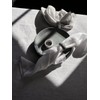 Broste Copenhagen Nordic Vanilla 14533492 Napkin Ring Cream with Grains,