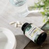 Enzimas Digestivas Plus Prebióticos Y Probióticos 1000 Mg