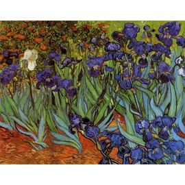 DOUBLETOP Irises- Vincent Van Gogh -1000 Piece Artwork Oil Painting Cardboard Jigsaw Puzzles for Adults Child Brain Teasers Toys Home Photo Frame Wall Decoration Puzzles Finished Size 30x20 inches